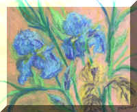GRA022Irises.jpeg (57098 bytes)