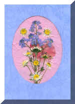 PressFlowerCard10.jpg (51416 bytes)