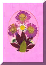 PressFlowerCard1.jpg (55210 bytes)