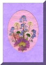 PressFlowerCard3.jpg (54715 bytes)