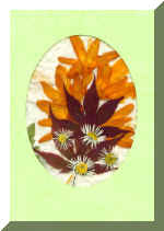 PressFlowerCard4.jpg (56165 bytes)