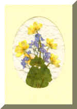 PressFlowerCard5.jpg (53870 bytes)