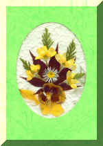 PressFlowerCard6.jpg (49483 bytes)