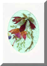 PressFlowerCard8.jpg (53313 bytes)