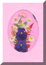 PressFlowerCardNew1.jpg (48330 bytes)