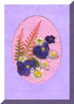 PressFlowerCardNew3.jpg (53766 bytes)