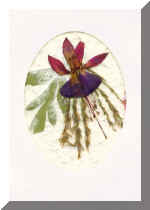 PressFlowerCardNew7.jpg (48150 bytes)