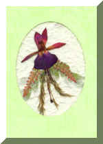 PressFlowerCardNew8.jpg (50597 bytes)