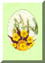 PressFlowerCardNew9.jpg (54096 bytes)