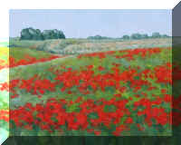 WIT010PoppyField.jpg (58454 bytes)