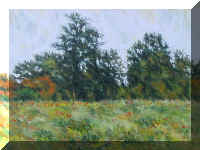 WIT011EdgeOfTheField.jpg (50946 bytes)