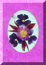 PressFlowerCard2.jpg (52414 bytes)
